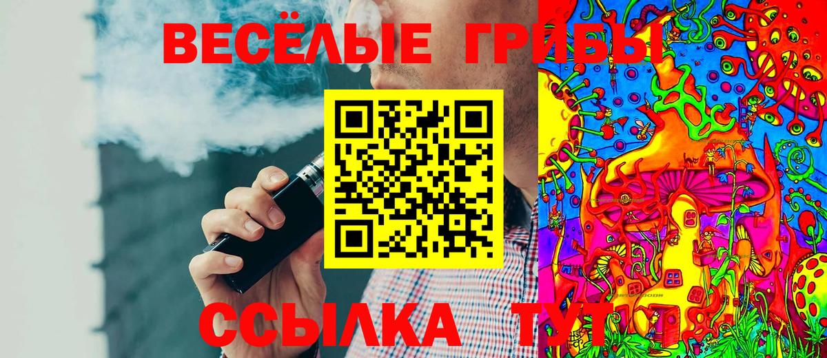 Каменск-Шахтинский  купить закладку  Вход с VPN  Галлюциногенные грибы GOLDEN TEACHER 