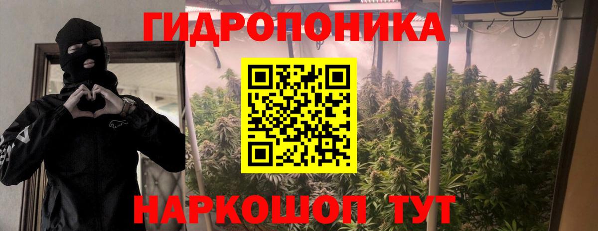 Каннабис SATIVA & INDICA  Бошки марихуана гибрид  Каннабис White Widow  Вход с VPN  МАРИХУАНА индика  Каменск-Шахтинский 